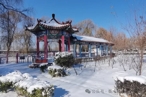 信康养老的元宵佳节 信康养老的元宵佳节