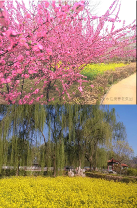 信康的美好、美好的信康 信康的美好、美好的信康