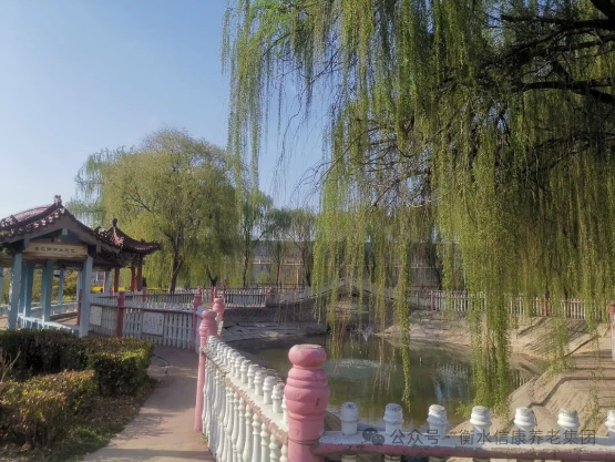 信康的美好、美好的信康 信康的美好、美好的信康