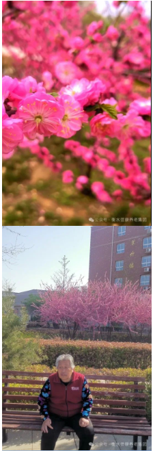 信康的美好、美好的信康 信康的美好、美好的信康