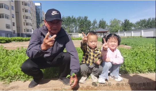 信康养老·燕园里独有的青春回忆---快乐菜园 信康养老·燕园里独有的青春回忆---快乐菜园