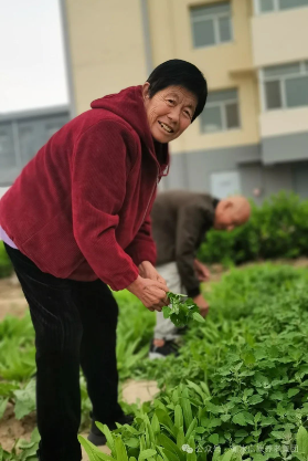 来信康养老·燕园,种小小菜园,走进老年乐园! 来信康养老·燕园,种小小菜园,走进老年乐园!