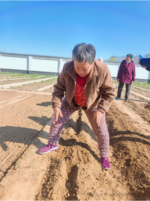 信康养老·燕园里的小菜园：耕耘中的暮年欢歌