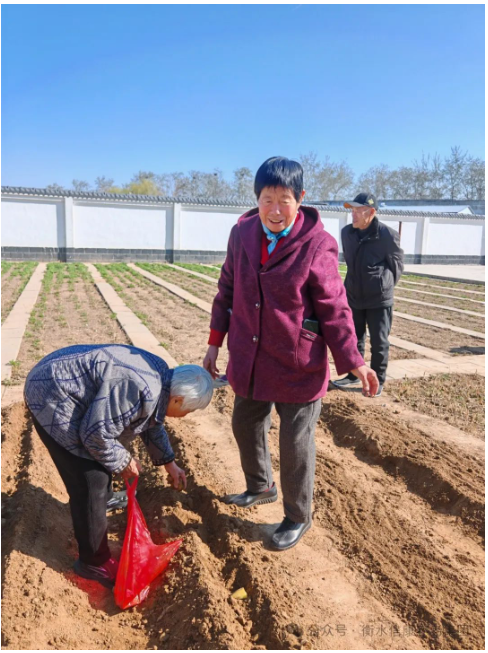 信康养老·燕园里的小菜园：耕耘中的暮年欢歌