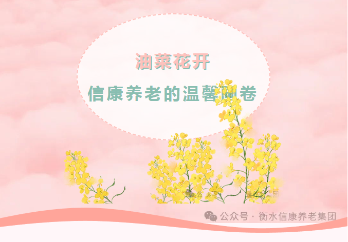满目金黄香百里、一方春色醉人间——信康养老的油菜花之约