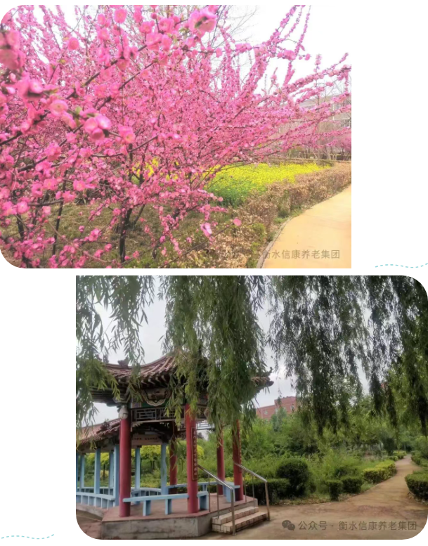 信康独特的老“游”所乐、不负春光