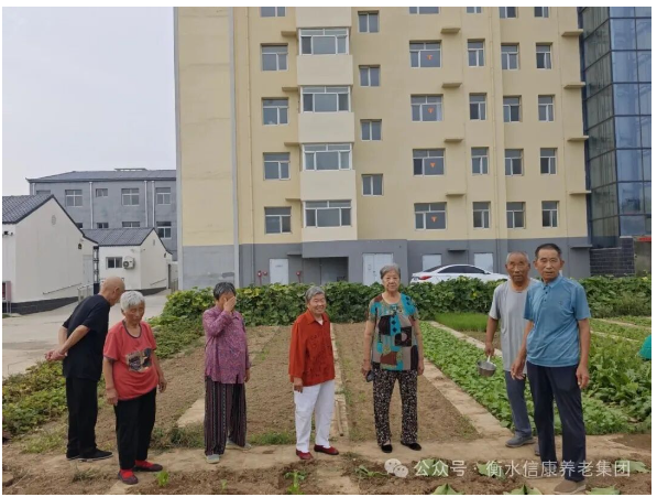 播种一片青绿,收获满园欢笑---信康养老·燕园秋日播种 播种一片青绿,收获满园欢笑---信康养老·燕园秋日播种