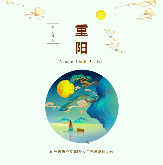 岁月留香,情暖重阳——信康养老插花活动温情绽放