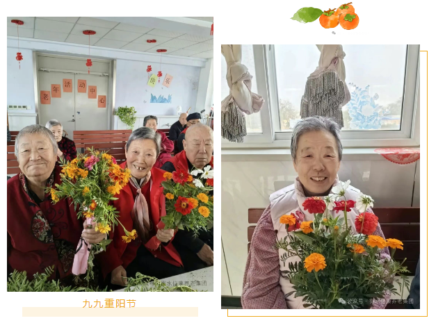岁月留香,情暖重阳——信康养老插花活动温情绽放 岁月留香,情暖重阳——信康养老插花活动温情绽放