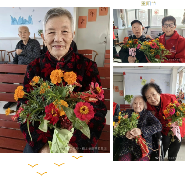 岁月留香,情暖重阳——信康养老插花活动温情绽放 岁月留香,情暖重阳——信康养老插花活动温情绽放