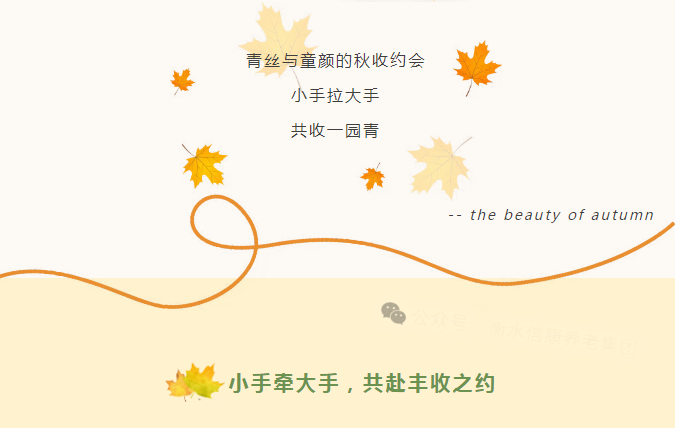 一畦春绿,两代欢颜:记信康养老·燕园的长者与小朋友们共收芥菜的温情时光 一畦春绿,两代欢颜:记信康养老·燕园的长者与小朋友们共收芥菜的温情时光