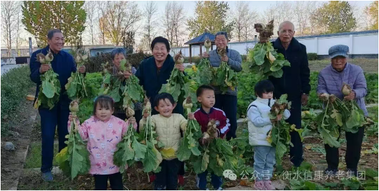 一畦春绿,两代欢颜:记信康养老·燕园的长者与小朋友们共收芥菜的温情时光 一畦春绿,两代欢颜:记信康养老·燕园的长者与小朋友们共收芥菜的温情时光