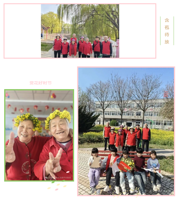 春风拂暖信康院，童声相伴赏花行